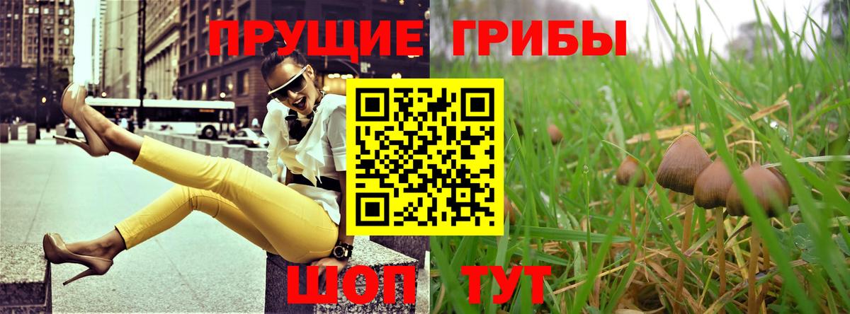 Псилоцибиновые грибы мухоморы Новокубанск