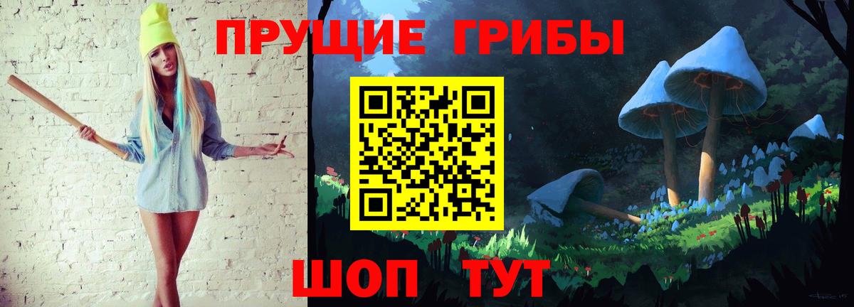 Псилоцибиновые грибы Psilocybe  Вход с VPN  Псилоцибиновые грибы MAGIC MUSHROOMS  Новокубанск 